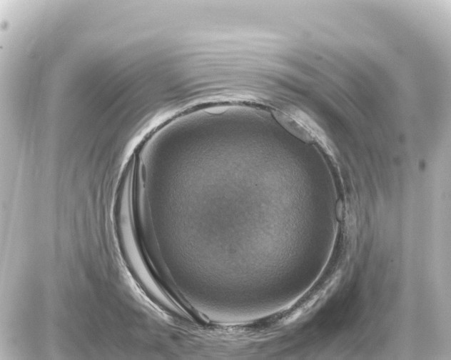 X0000087010797200704231933