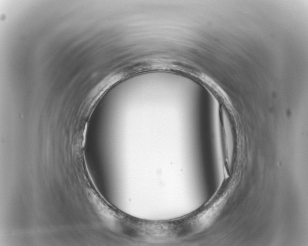 X0000087010801200704231933