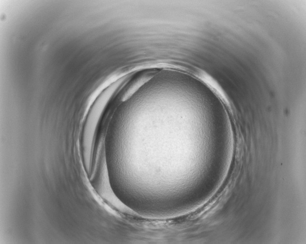 X0000087010813200704231933