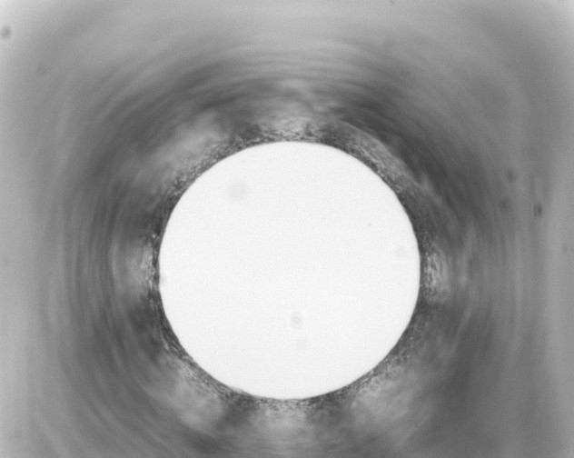 X0000087010820200704231932