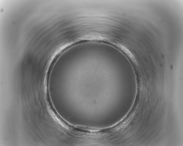 X0000087010840200704231933