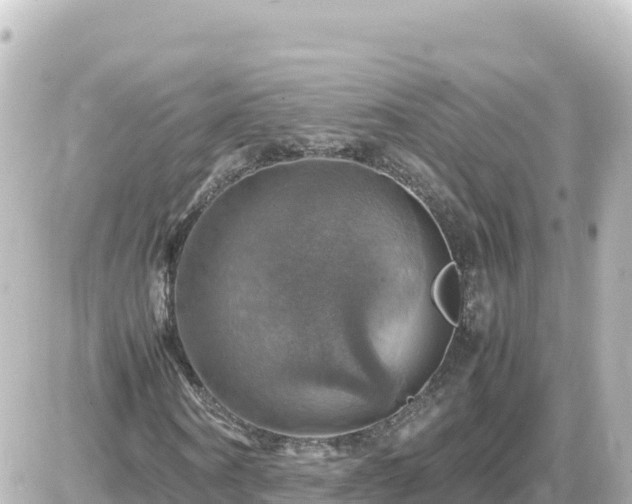 X0000087010866200704231932