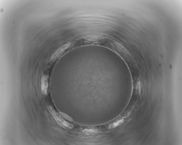 X0000087010868200704231932