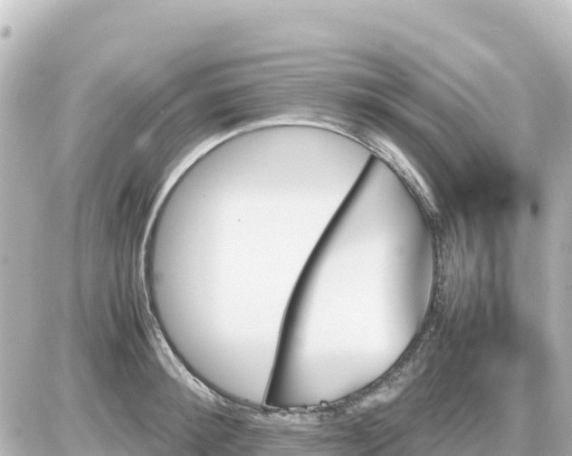 X0000087010900200704231932
