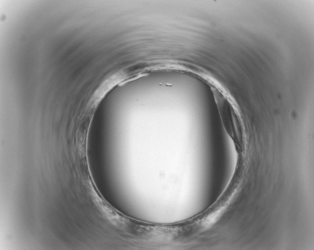 X0000087010905200704231932