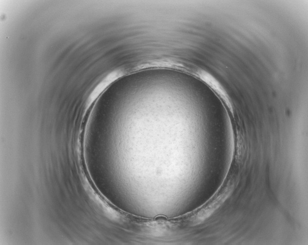 X0000087010906200704231932
