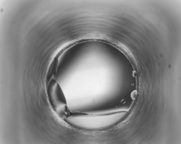 X0000087010942200704231931