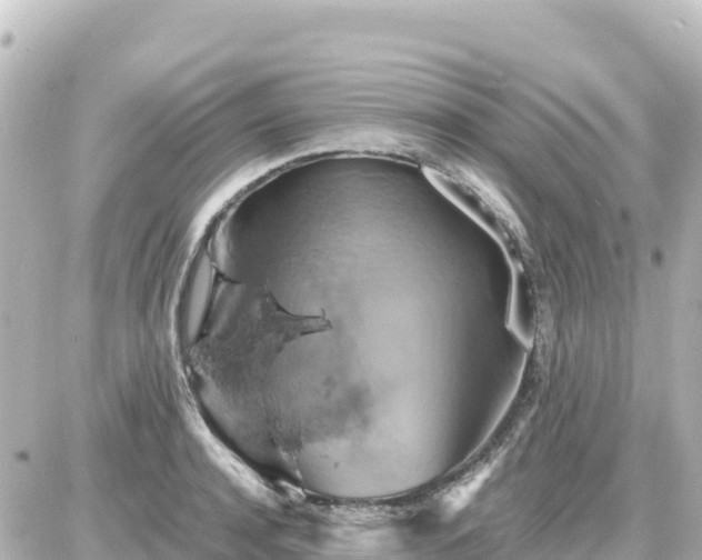 X0000087010944200704231931