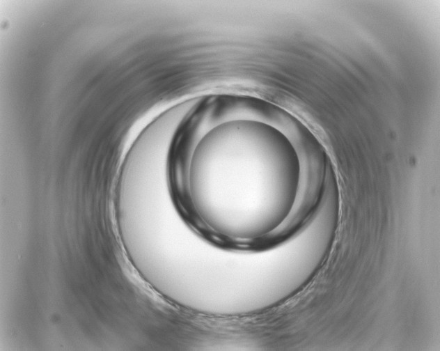 X0000087010960200704231931