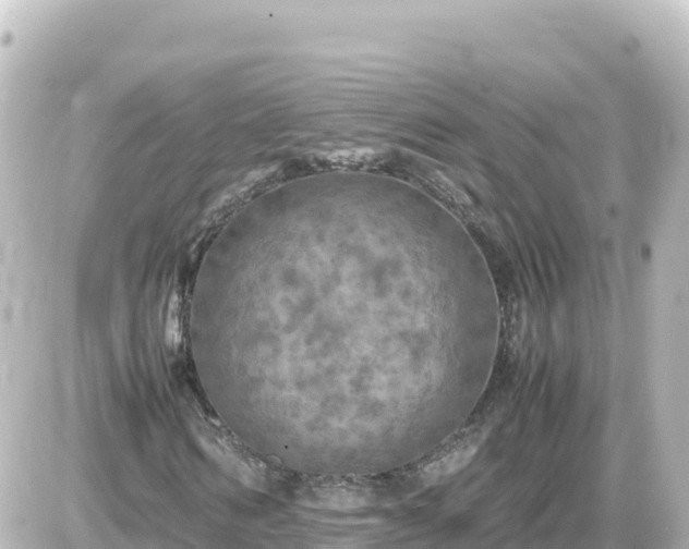 X0000087010962200704231931