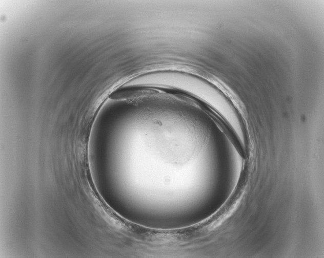 X0000087010993200704231930