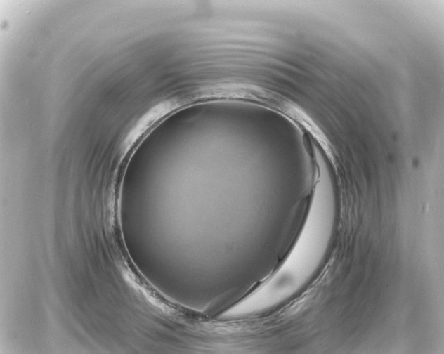 X0000087010994200704231930