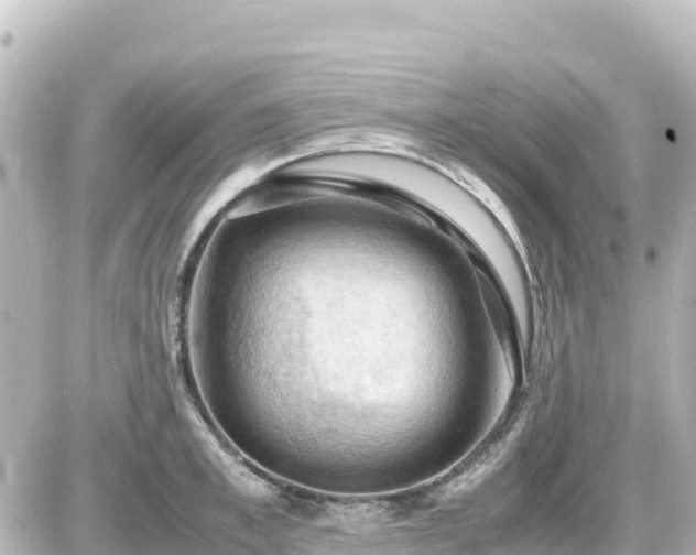 X0000087010997200704231930