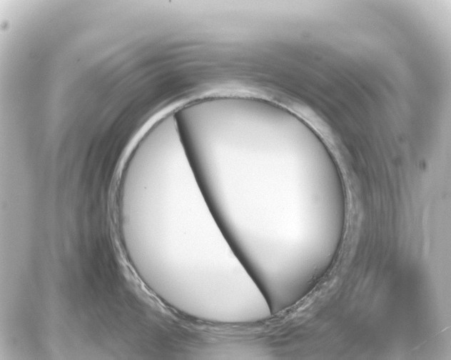 X0000087011008200704231930