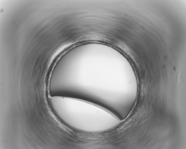 X0000087011024200704231929
