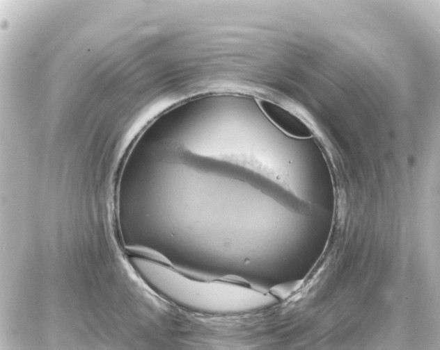 X0000087011048200704231930