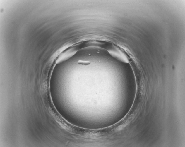 X0000087011073200704231929