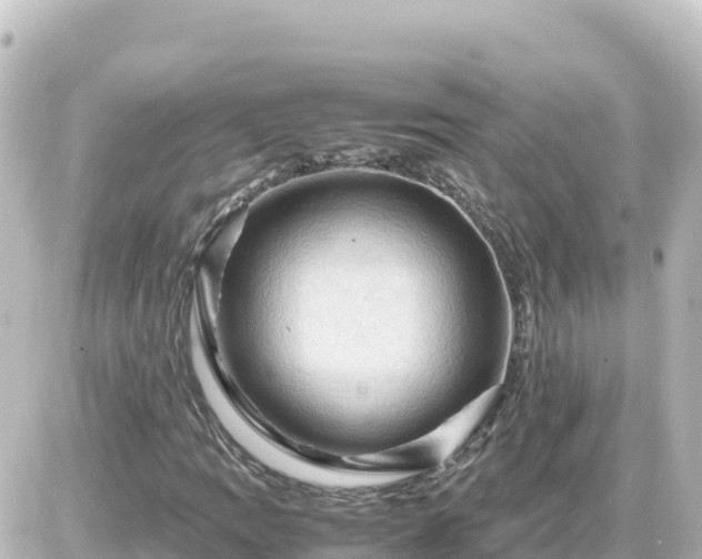 X0000087011109200704231928