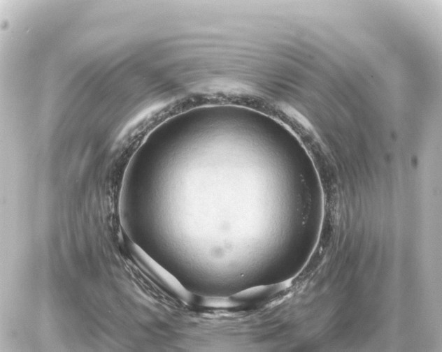 X0000087011112200704231928