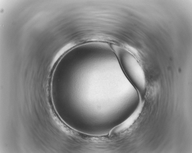 X0000087011138200704231928