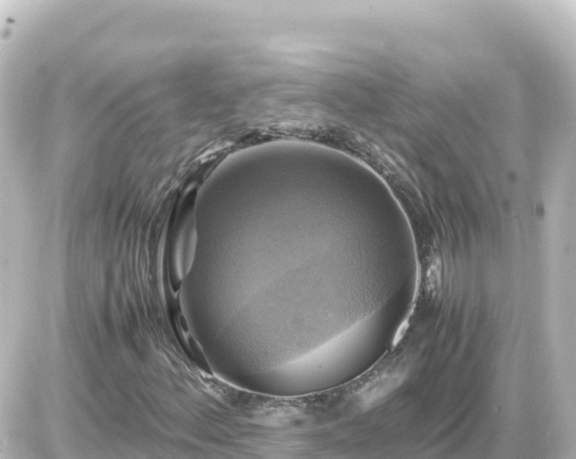 X0000087011156200704231927
