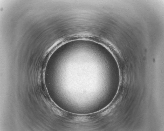 X0000087011162200704231927