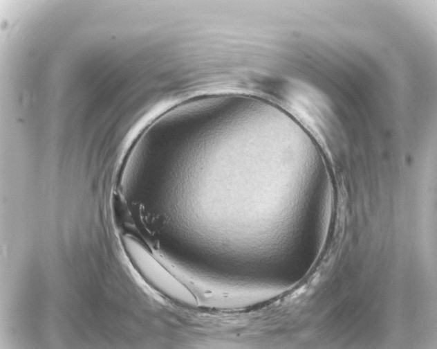 X0000087011197200704231927