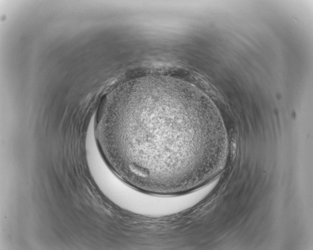 X0000087011204200704231926