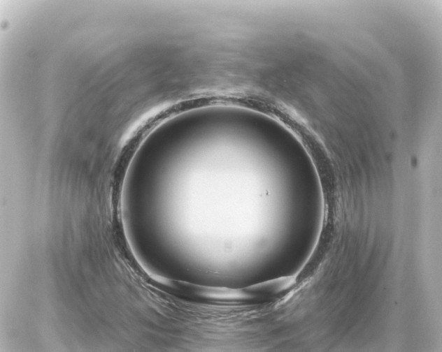 X0000087011214200704231926