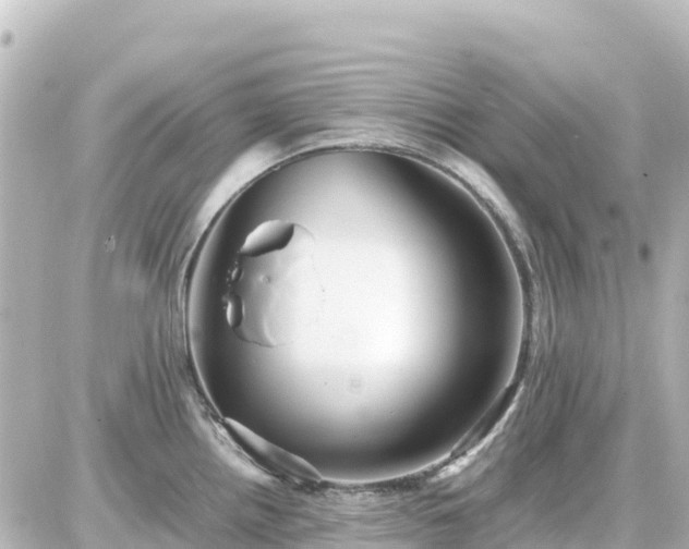 X0000087011242200704231927