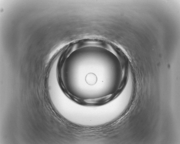 X0000087011263200704231926