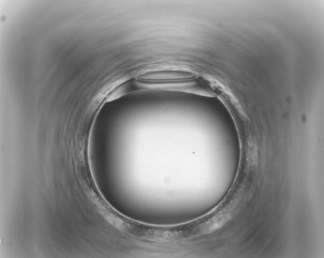 X0000087011273200704231926