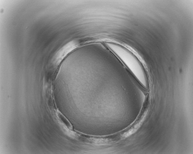 X0000087011289200704231925