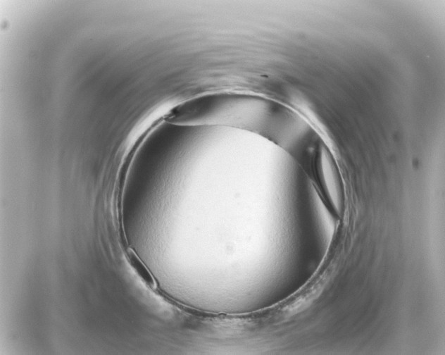 X0000087011293200704231925