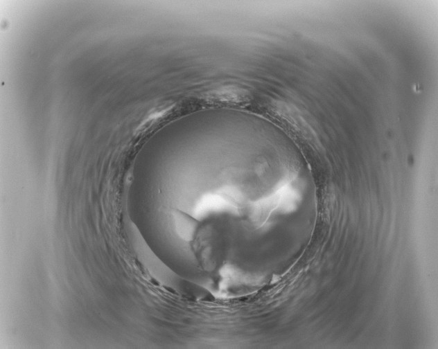 X0000087011297200704231924