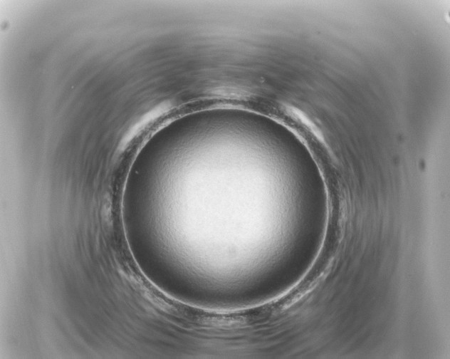 X0000087011307200704231925