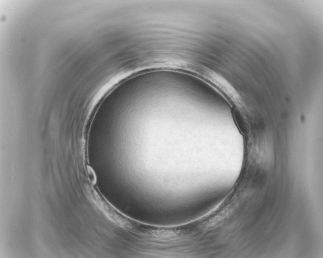 X0000087011332200704231925