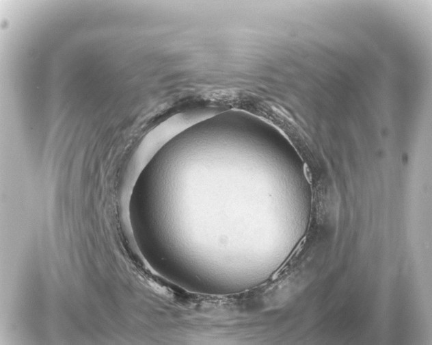 X0000087011345200704231924