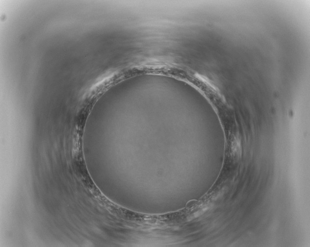 X0000087011350200704231924