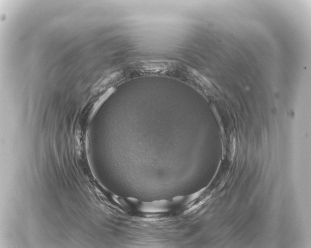 X0000087011394200704231923