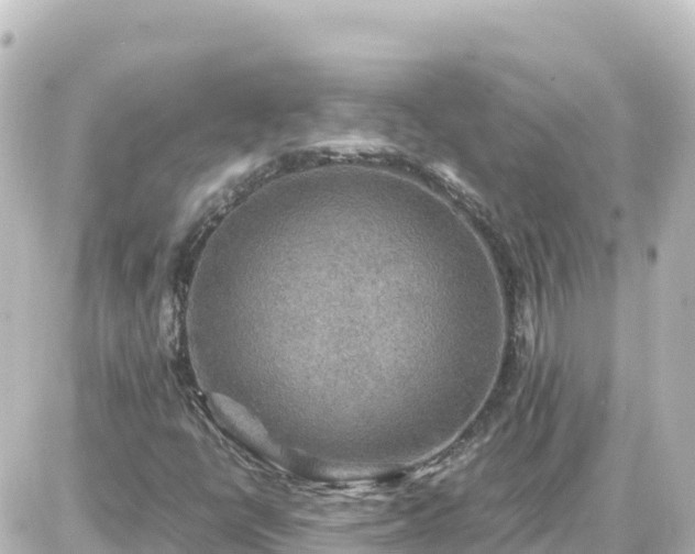 X0000087011398200704231923