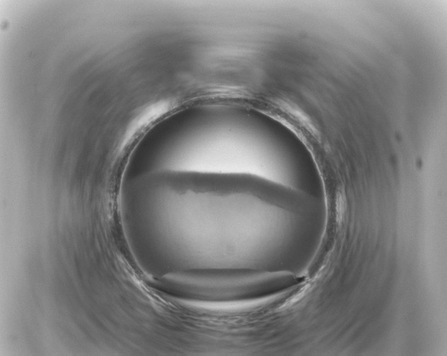 X0000087011405200704231923