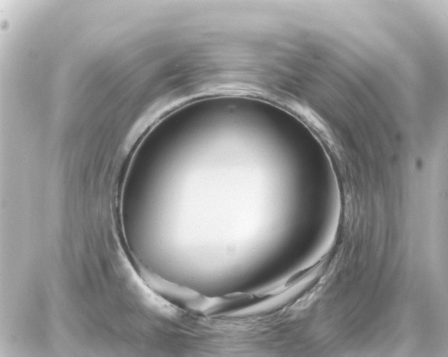 X0000087011430200704231923