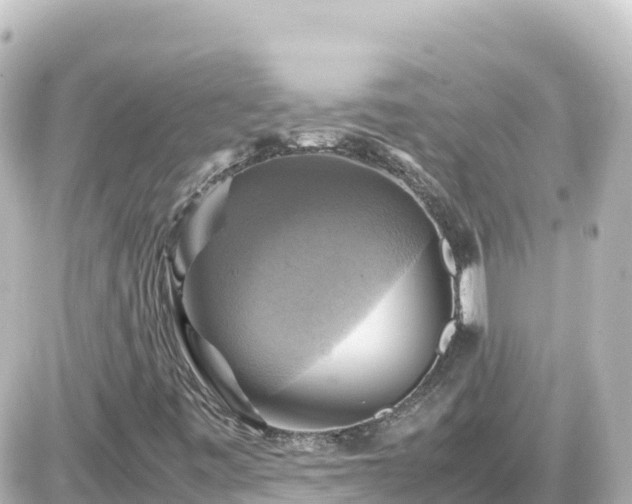 X0000087011443200704231923
