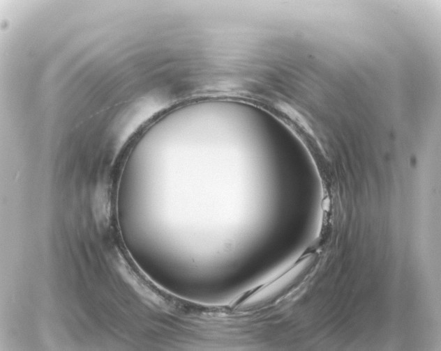 X0000087011458200704231923