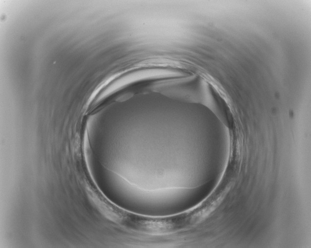 X0000087011465200704231922