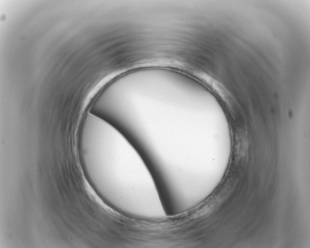 X0000087011468200704231922