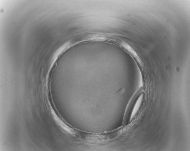 X0000087011475200704231922