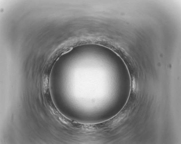X0000087011492200704231921