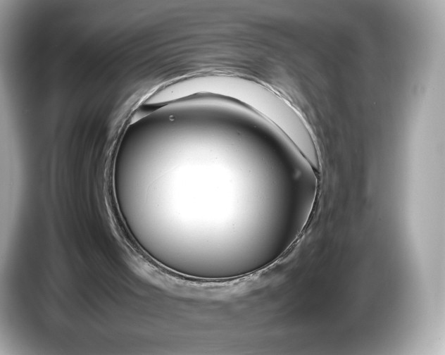 X0000087010001200704301427